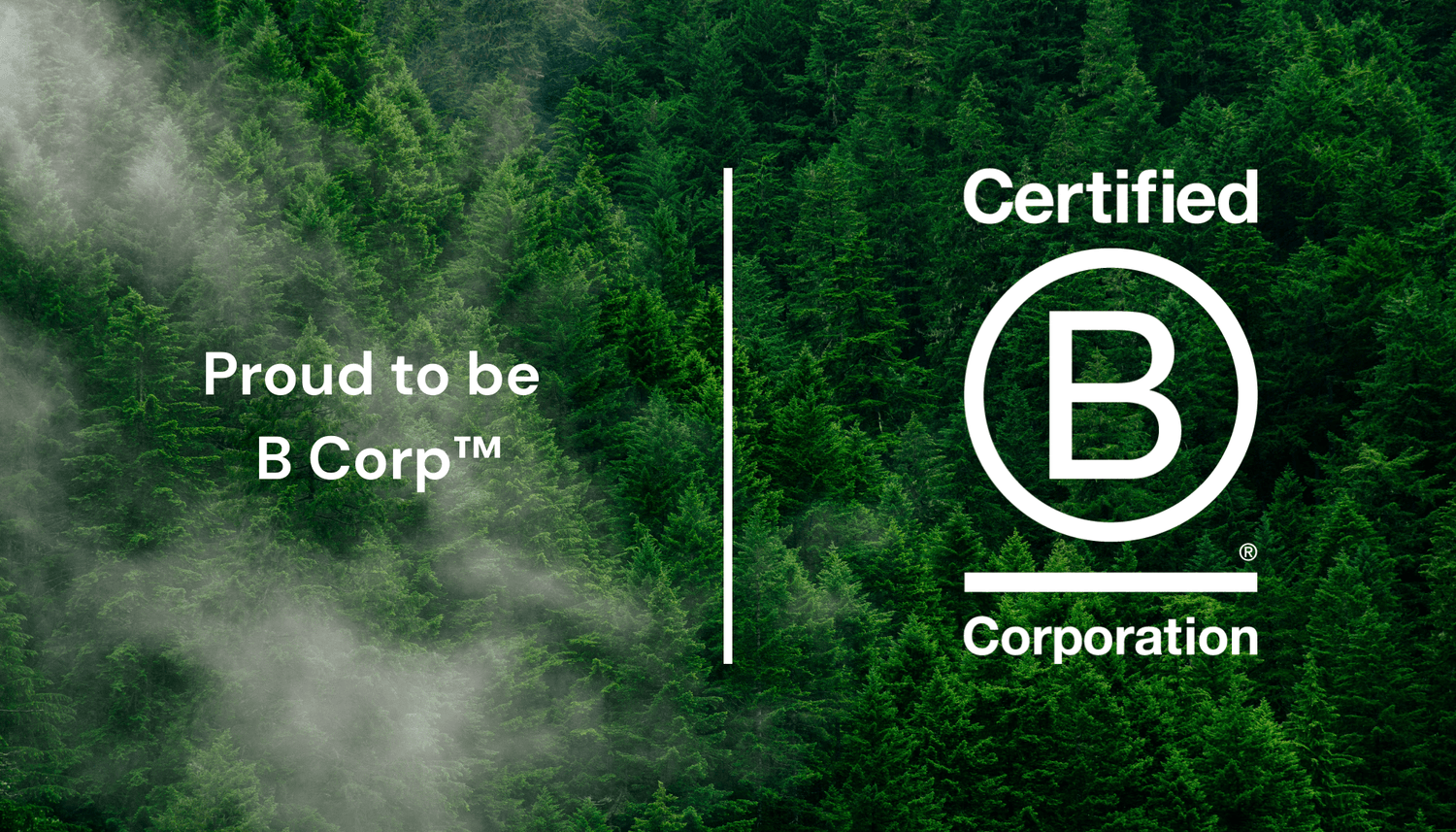 Pixii is proud to be B Corp™ - Pixii